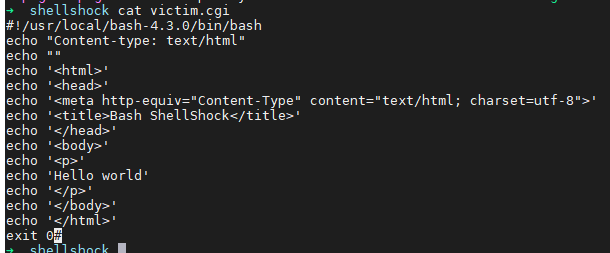 Bash 破壳漏洞Shellshock （CVE-2014-6271）复现分析第16张